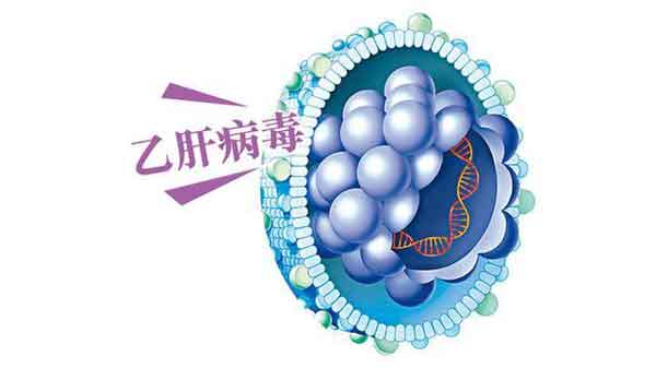 郑州看乙肝大三阳病哪个医院好